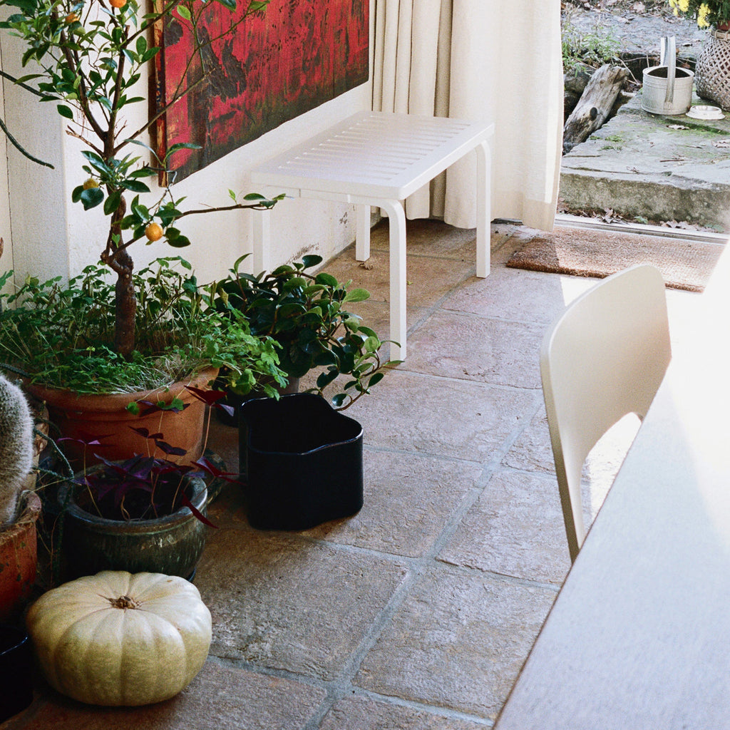 Interior view of a hallway featuring Bench 153B with slatted top in white lacquer placed next to a door. Various plants in different pots are arranged beside the bench, including an empty blue Riihitie Plant Pot Medium B.