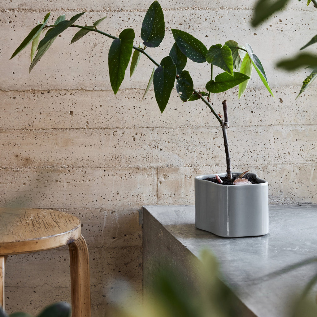 Interior view featuring Riihitie Plant Pot A in light grey placed on a windowsill, with a green plant growing from the pot. Stool 60 from Artek 2nd Cycle is positioned next to it.