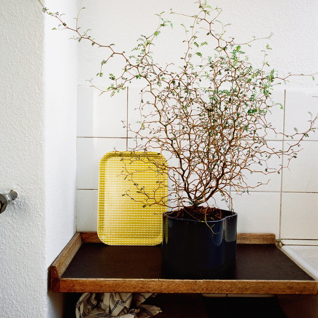 Interior view featuring Riihitie Plant Pot B in dark blue placed on a surface, with a plant growing in the pot. A small Rivi Tray is positioned behind the pot.