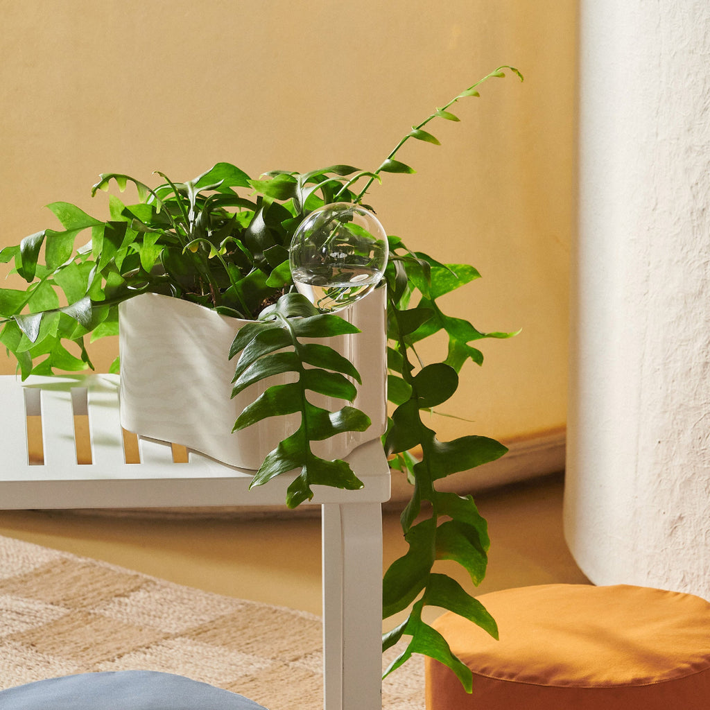 Interior view featuring Riihitie Plant Pot B Medium in white placed on white Bench 153A with a slatted top. A houseplant is growing in the pot.